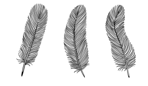 Set of Black and White Feather.